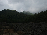 Fontanelle